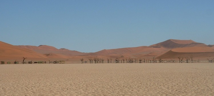 Les principaux parcs en Namibie