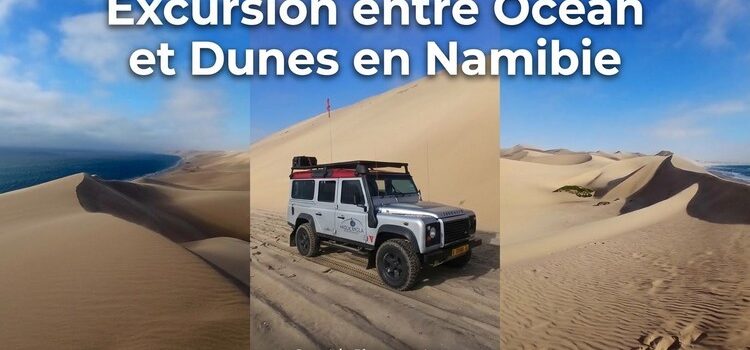 Excursion entre Océan et désert en Namibie